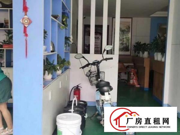 金凤凰一楼1300平出租