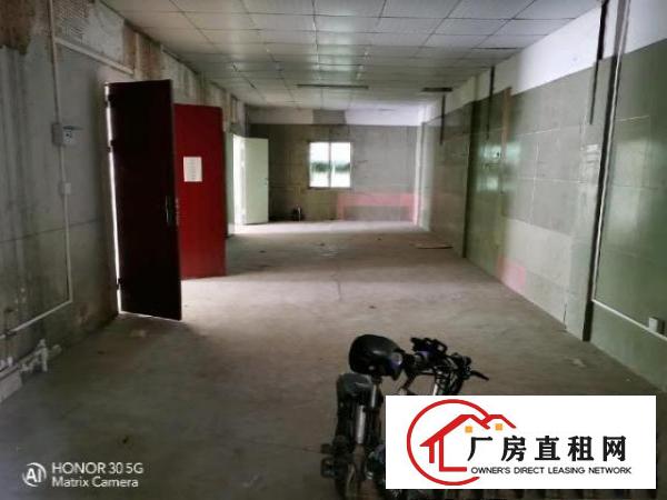  凤岗雁田楼上带装修460平出租