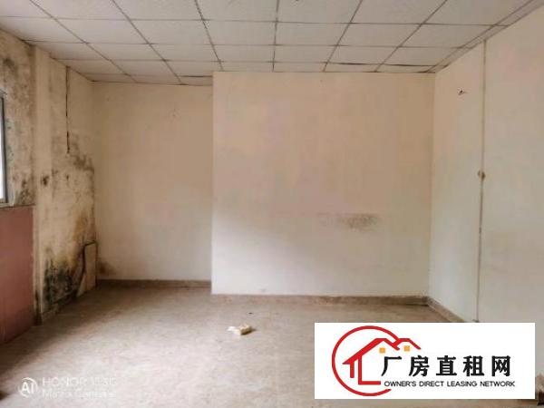  凤岗雁田楼上带装修460平出租