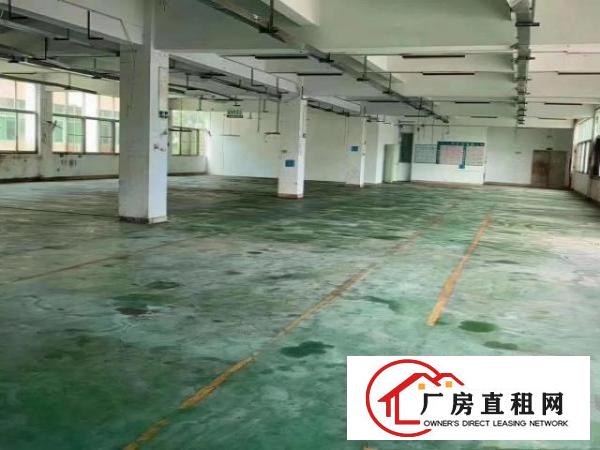  凤岗原房东小独院