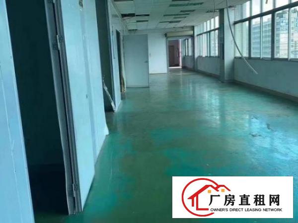  凤岗原房东小独院