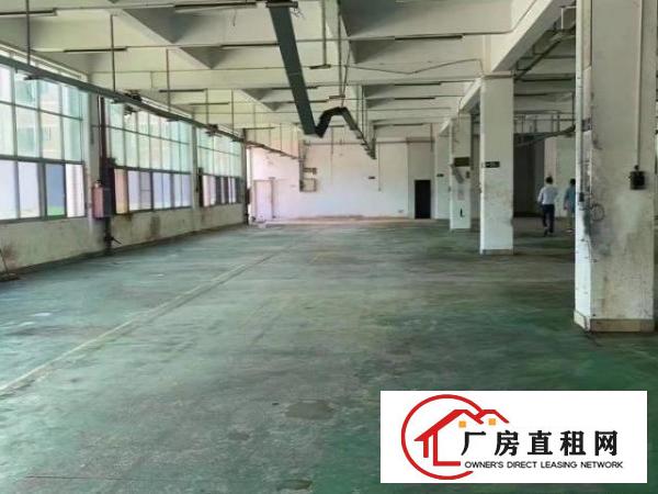  凤岗原房东小独院