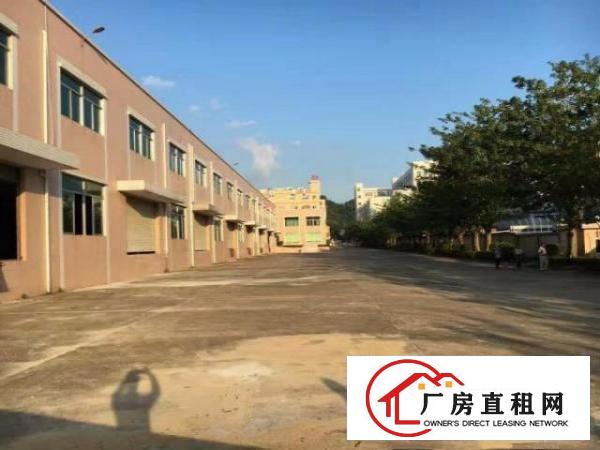  凤岗独院厂房出租16000平方适合五金塑胶电子