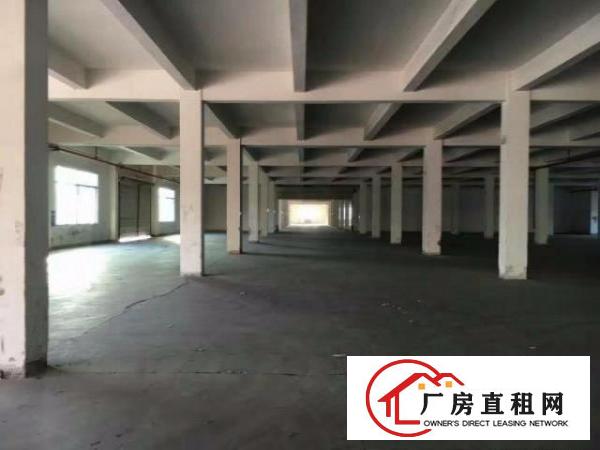  凤岗独院厂房出租16000平方适合五金塑胶电子