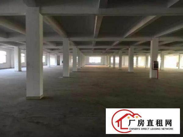  凤岗独院厂房出租16000平方适合五金塑胶电子