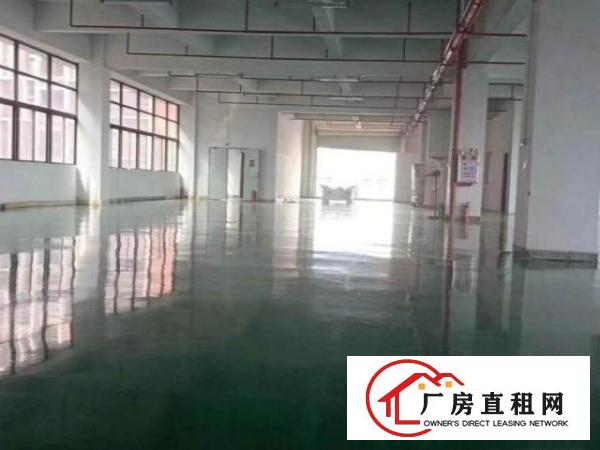  凤岗金凤凰带装修厂房出租1400平水电齐全有办公室