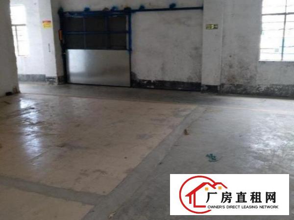 东莞市凤岗油甘埔80/150平方厂房出租