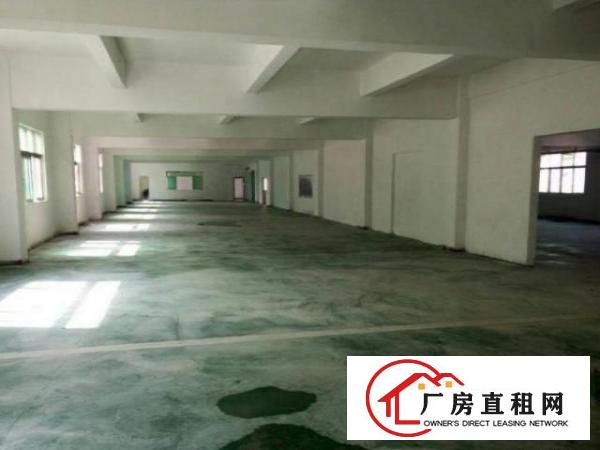  五联工业区标准厂房楼上1000平带装修出租，分租350平