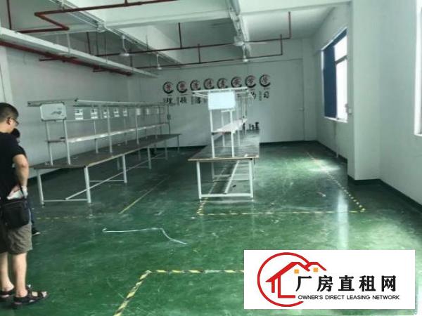 黄洞标准厂房一楼360平，采光好，无公摊