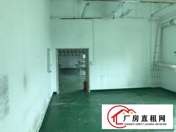  黄洞标准厂房一楼360平，采光好，无公摊