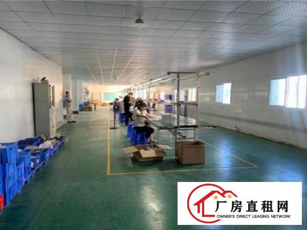  塘沥旁边2楼标准800平方厂房，精装修可分租，水电齐全