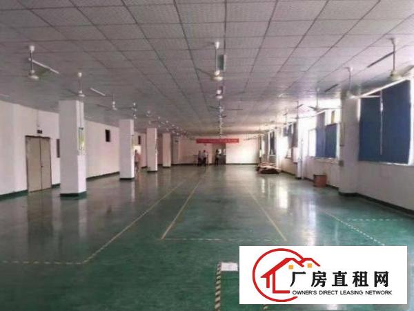 油甘埔2楼800平面积实在标准厂房，精装修厂房