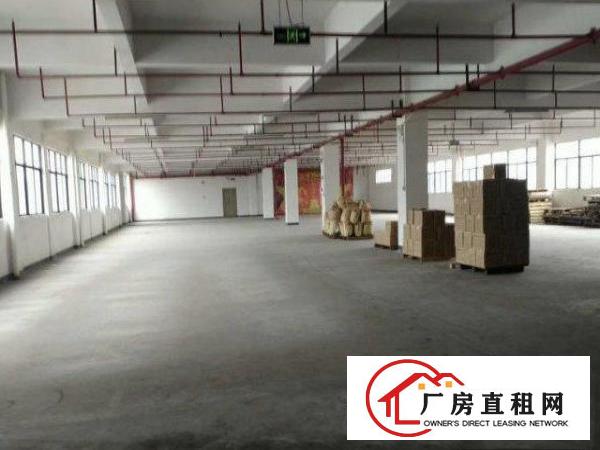  官井头新出一楼1000平装修厂房招租，原房东，可分租