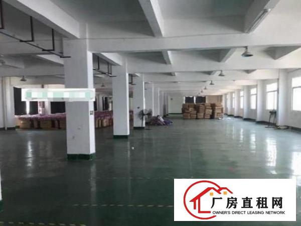  天堂围新空一楼标准厂房700平有装修厂房出租，有地坪漆