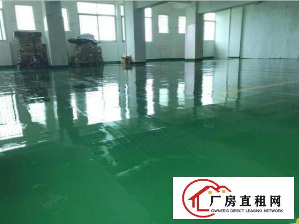  竹尾田新出楼上标准厂房1000平方装修分租，400平起租