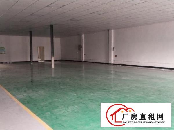  竹塘新出楼上带装修990平厂房出租，带消防喷淋，可办环评