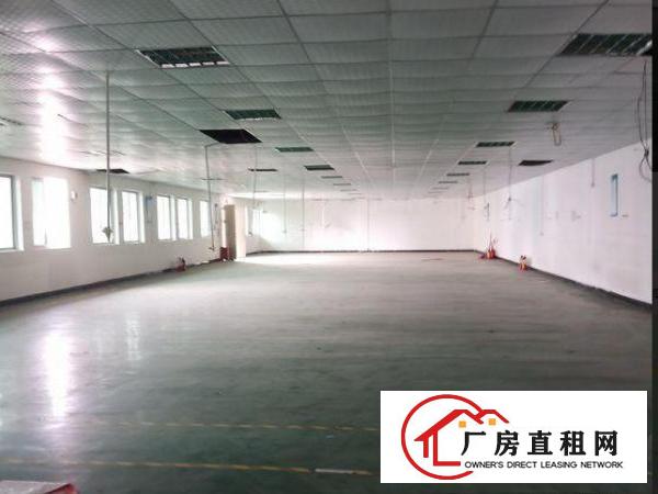  塘沥新出楼上标准厂房980平方米出租，实际面积