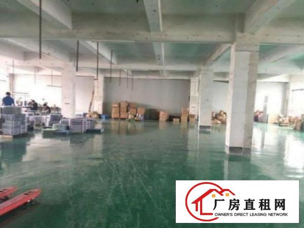  雁田新出一楼无公摊标准厂房800平方，环境好