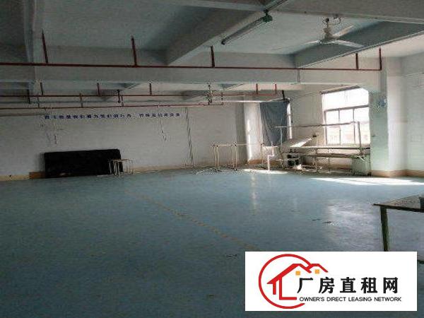  三联新出带红本标准厂房一楼550平，水电齐全