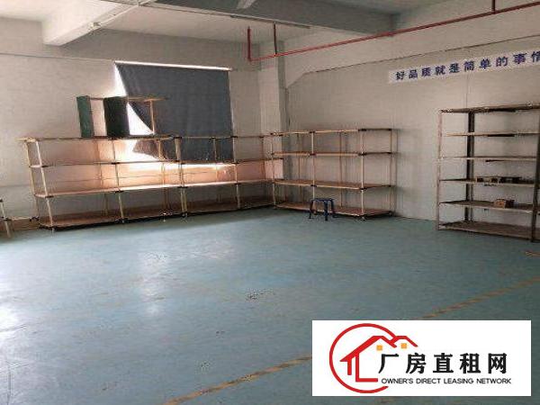  三联新出带红本标准厂房一楼550平，水电齐全