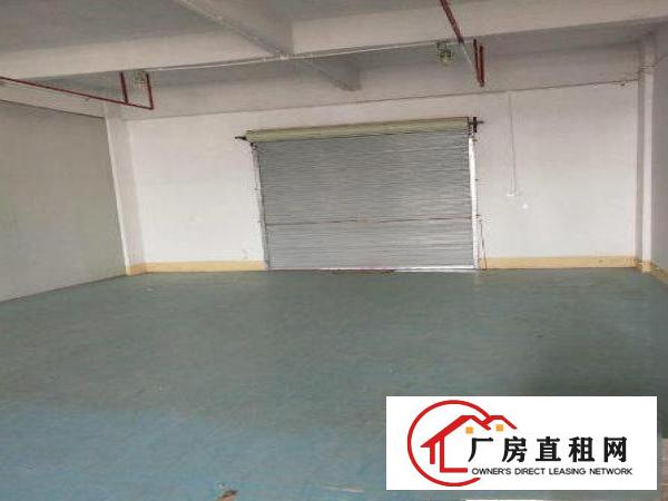  三联新出带红本标准厂房一楼550平，水电齐全
