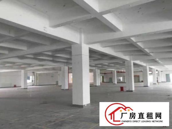  竹塘分租四楼标准厂房700~1000平米，配货梯，带红本