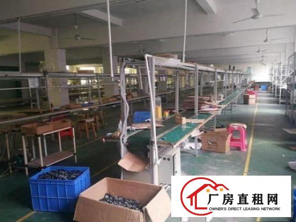 黄洞一楼标准楼房500平方米出租，无公摊，水电齐全
