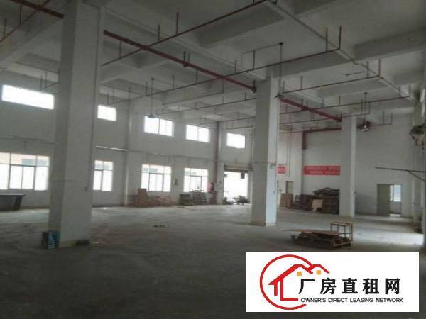  塘沥原房东一楼标准厂房420平出租