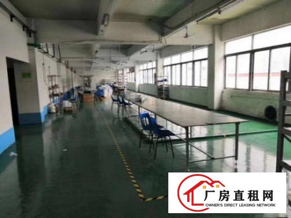 凤德岭原房东独院标准厂房带装修楼上680平出租