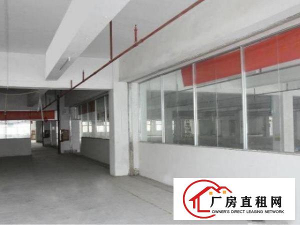  雁田标准厂房一楼800平出租，适合物流电商仓储各行业