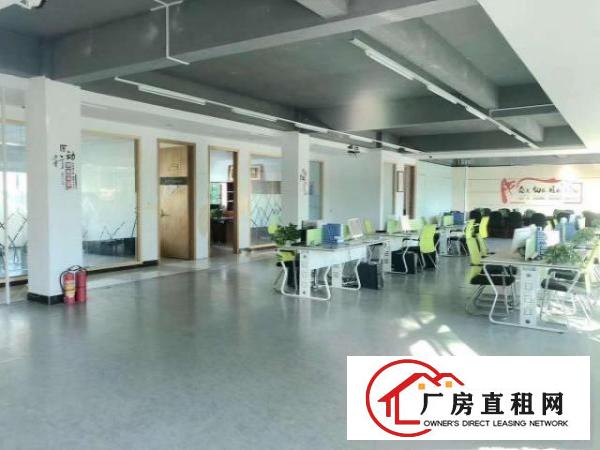  清溪谢坑电商办公贸易仓库厂房出租2278平米拎包入住