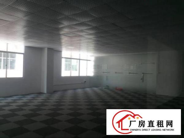  凤岗金凤凰电子组装五金加工电商带装修厂房出租
