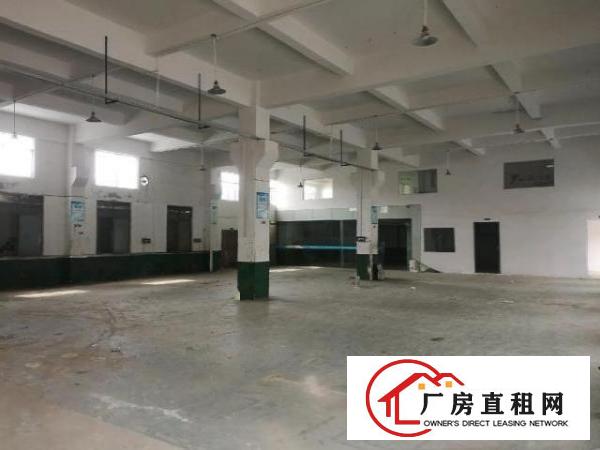  凤岗2000平厂房仓库出租，带牛角，高度7米，可分租