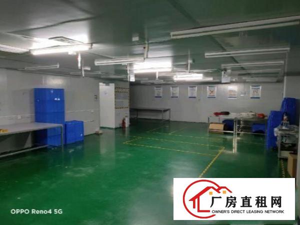  凤岗雁田临深片区新出原房东楼上1300平方无尘车间厂房出租