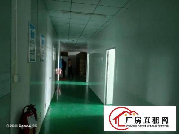  凤岗雁田临深片区新出原房东楼上1300平方无尘车间厂房出租