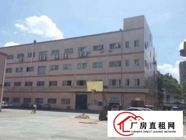  凤岗雁田临深片区新出原房东楼上1300平方无尘车间厂房出租