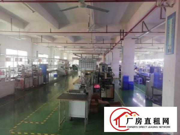  形像好精装修凤岗金凤凰塑胶五金电子厂房出租4500平