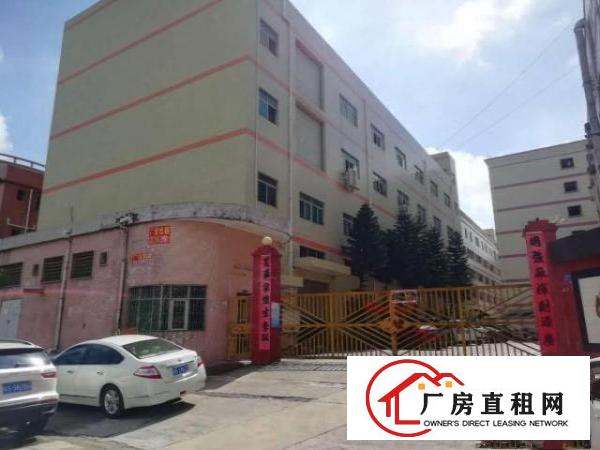  形像好精装修凤岗金凤凰塑胶五金电子厂房出租4500平