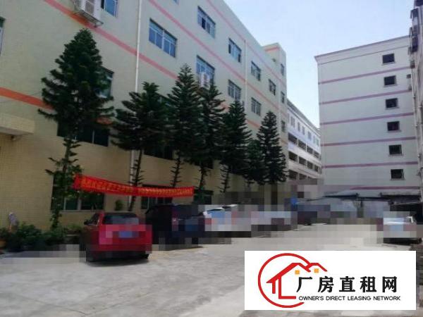  形像好精装修凤岗金凤凰塑胶五金电子厂房出租4500平