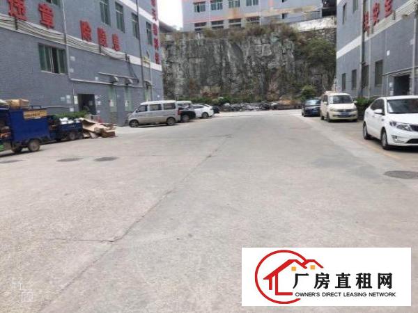  凤岗高大上厂房招租啦