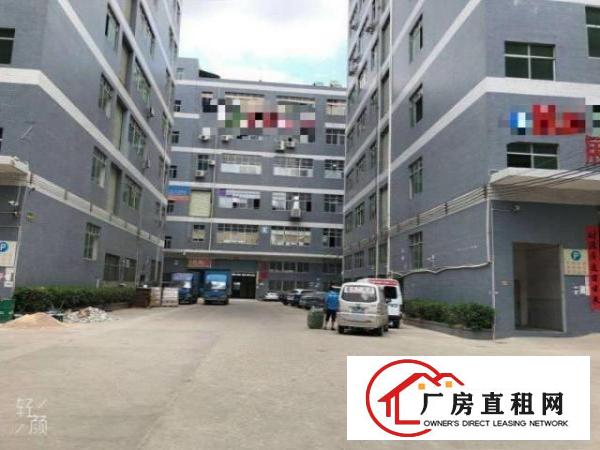  凤岗高大上厂房招租啦