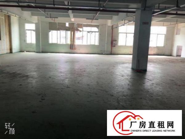  凤岗高大上厂房招租啦
