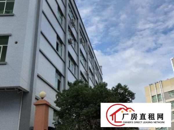 凤岗雁田南山带装修电子组装厂房出650平水电齐全