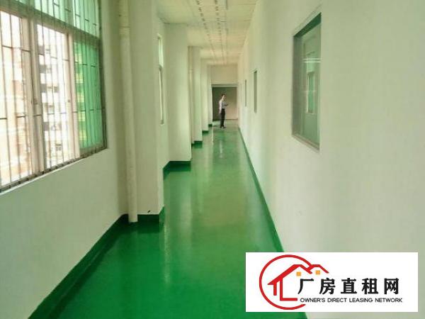  凤岗雁田布心楼上厂房出租2000平适合包装电子组装加工