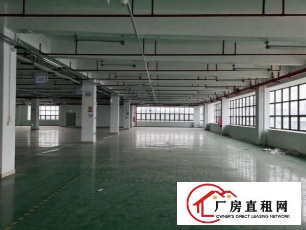  凤岗五联楼精装修厂房出租2500平电子电商手袋皮具加工
