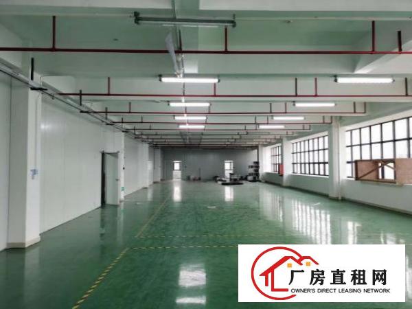  凤岗五联楼精装修厂房出租2500平电子电商手袋皮具加工