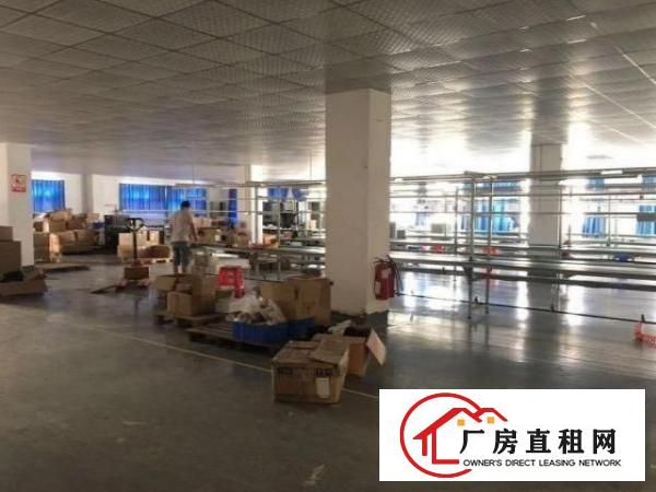  竹塘新出3楼实际面积800平原房东厂房出租，带装修