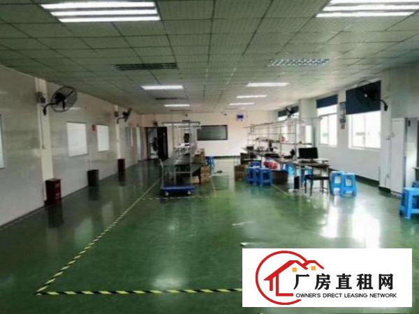  油甘埔二楼800平带装修厂房出租，分租300平，有红本