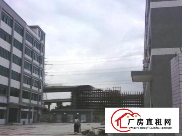  凤岗镇楼上全新厂房分租1000到2000