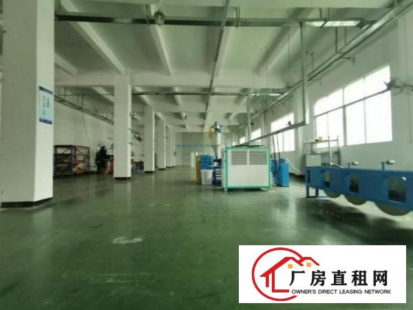  。。大空地！凤岗新出4900平方米重工业独院厂房招租。。